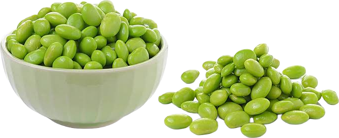 Peeled Green Fava Beans