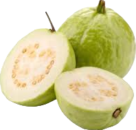 Guava