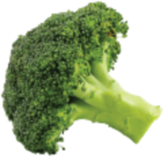 Broccoli