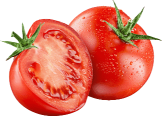 Tomato