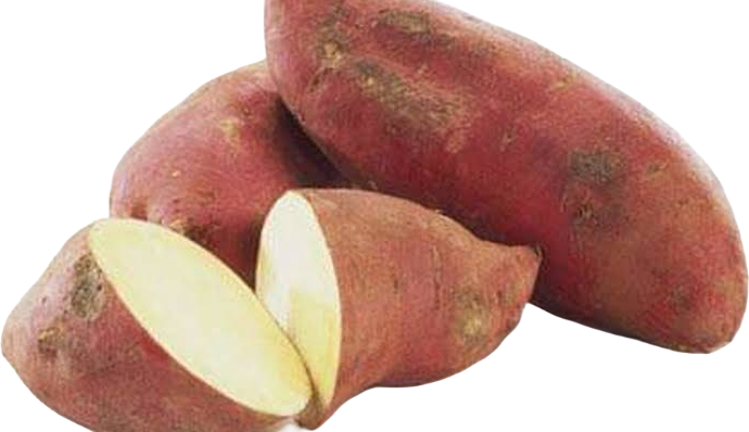 Sweet Potato	
