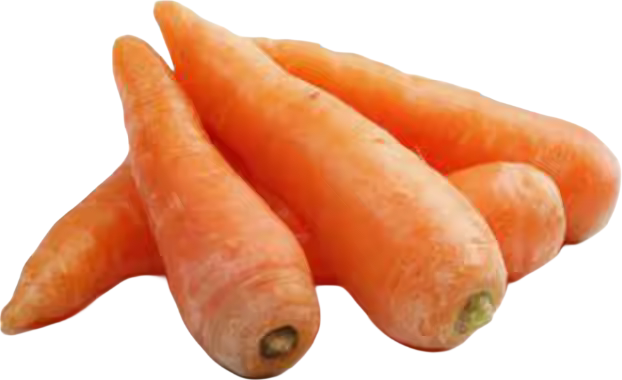 Carrot
