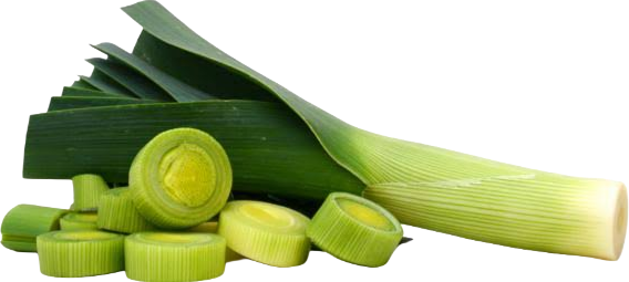 Leek