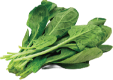 Spinach Leaves
