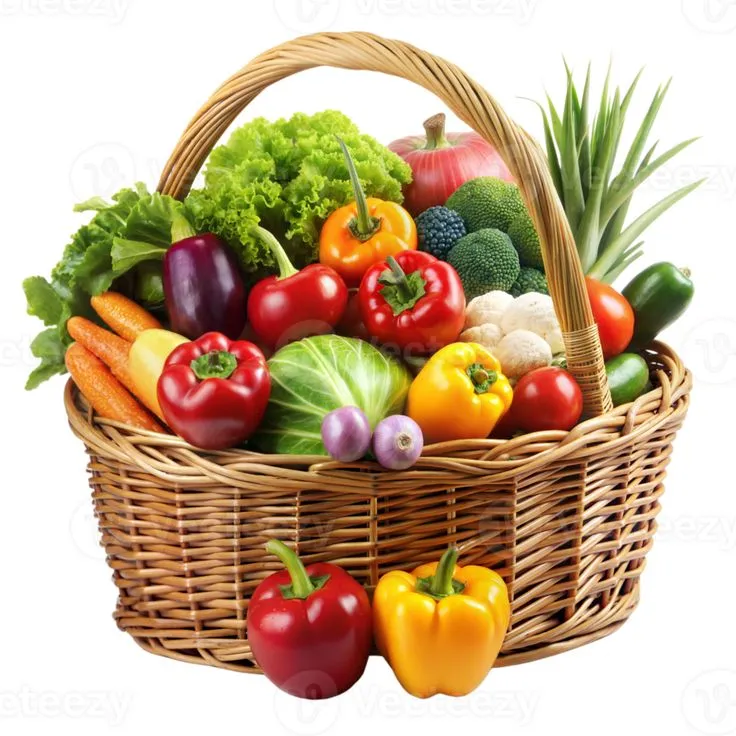 Export Vegetables